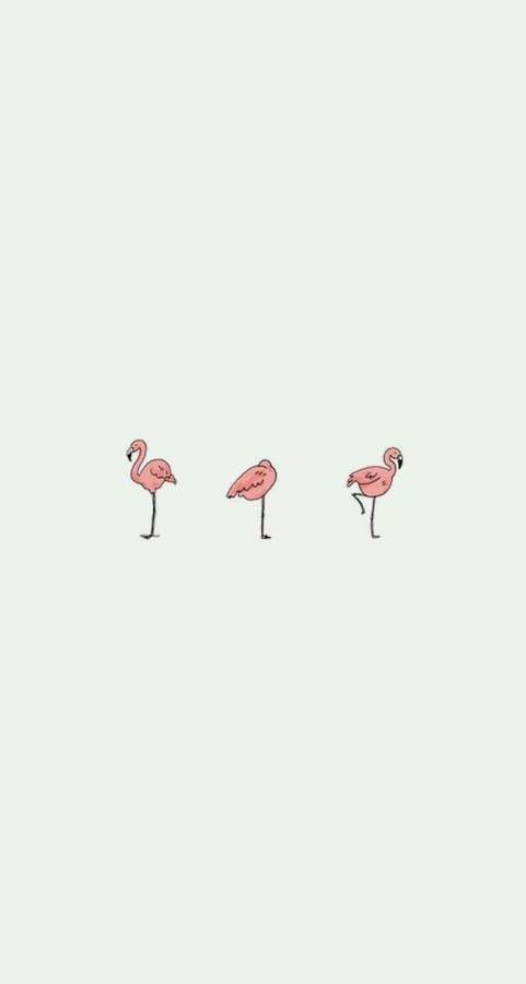Three pink flamingos in minimalist line art style on a pale green background. — iPhone Simple Cute Wallpaper
