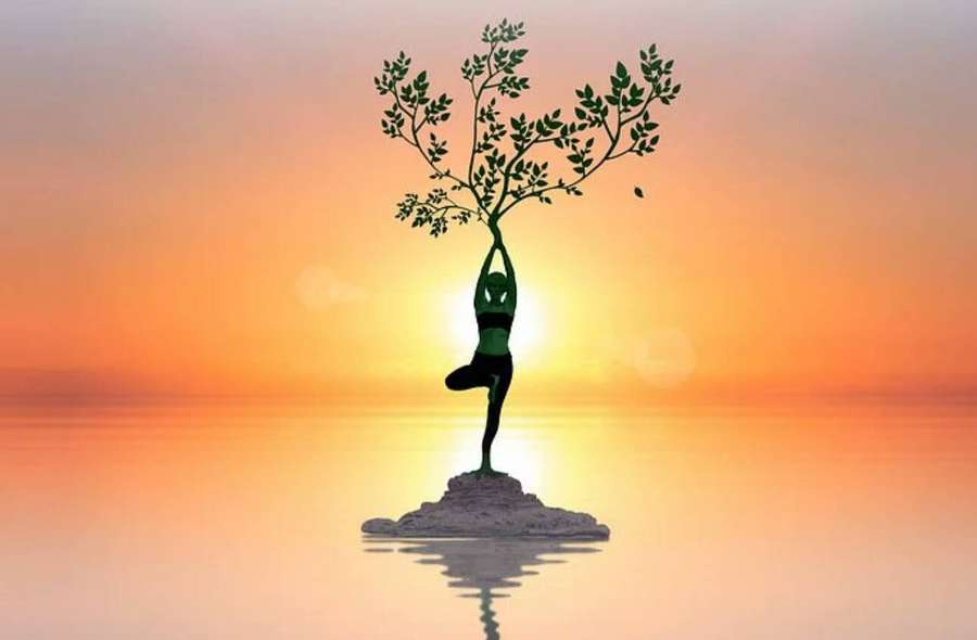 Pessoa na pose de yoga da árvore com árvore crescendo da cabeça ao pôr do sol na água. — Ipomeia Papéis de Parede