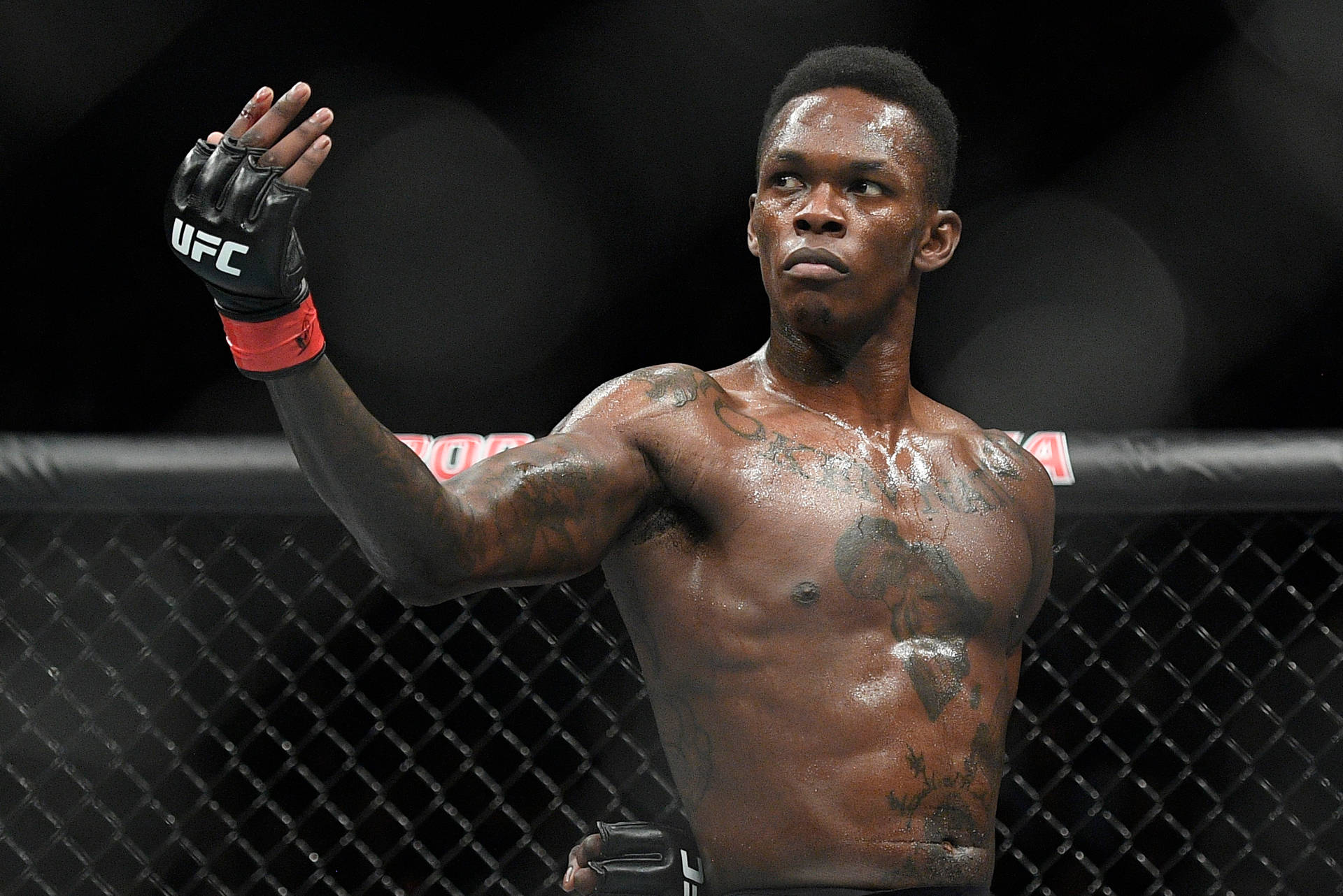 Israel Adesanya Fond d'écran