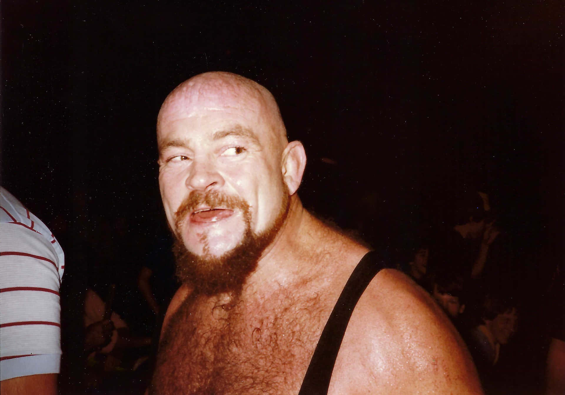 Ivan Koloff Wallpaper