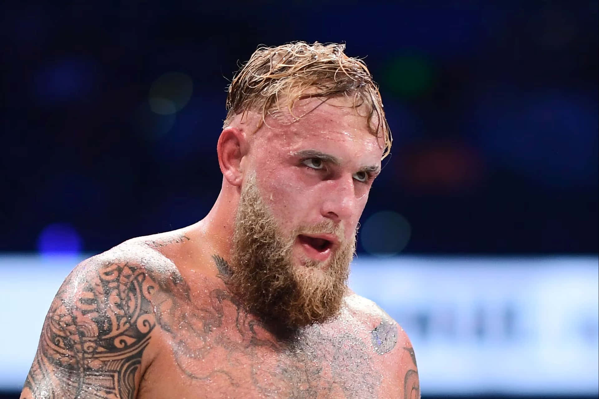 Jake Paul Achtergrond