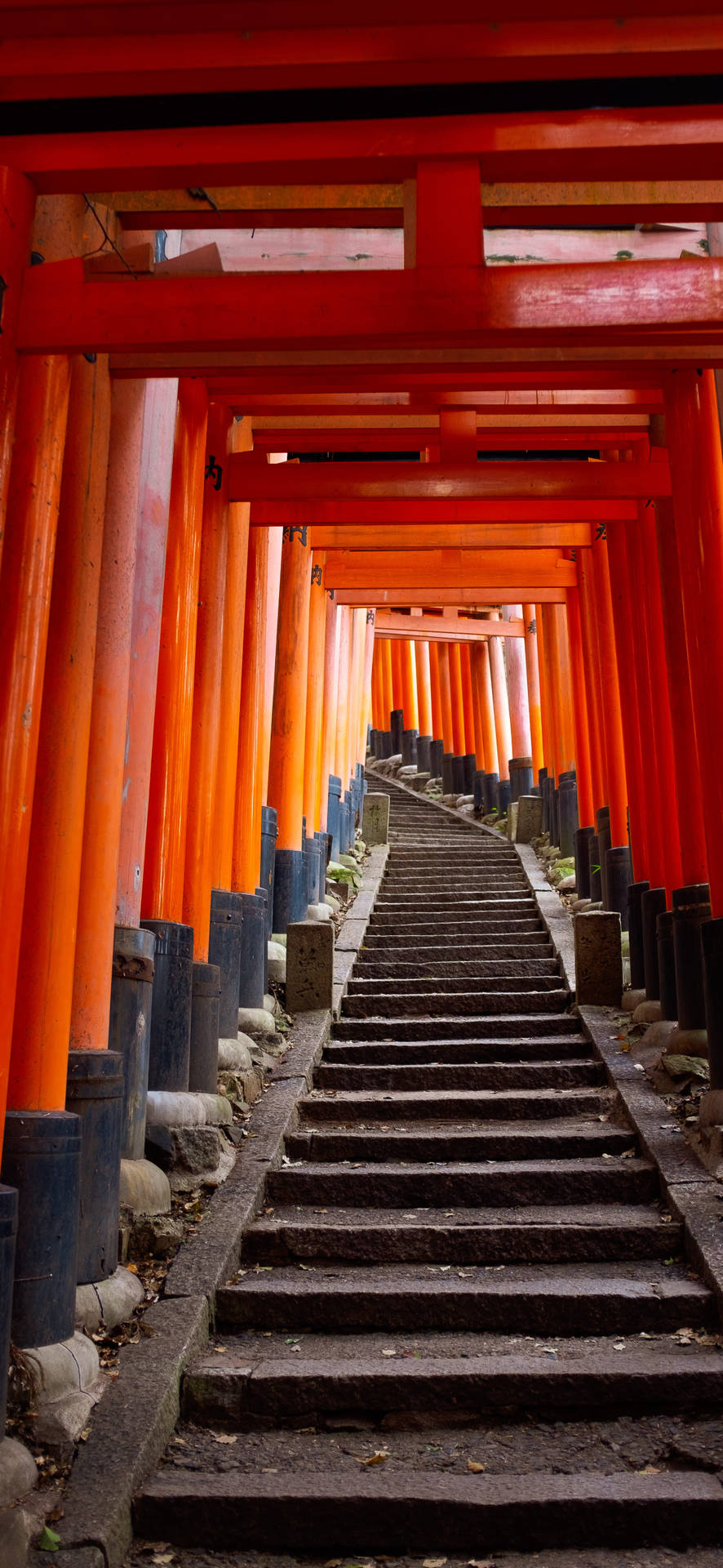 Japon 4k Fond d'écran