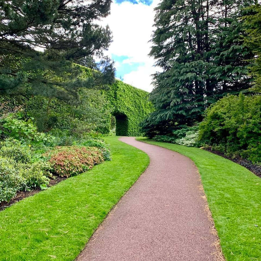 Jardin Botanique Royal D'édimbourg Fond d'écran