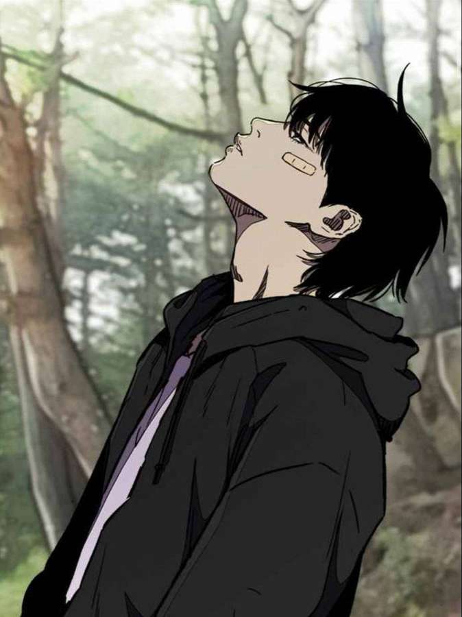 Anime-dreng i sort hættetrøje kigger op i en tåget skov. — Jay Billede Wallpapers