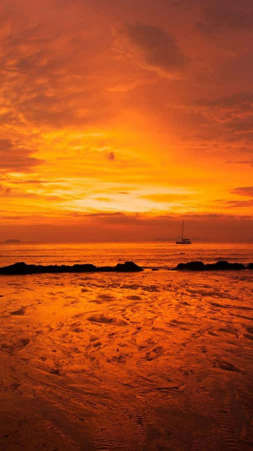 Jeruk Imut Wallpaper