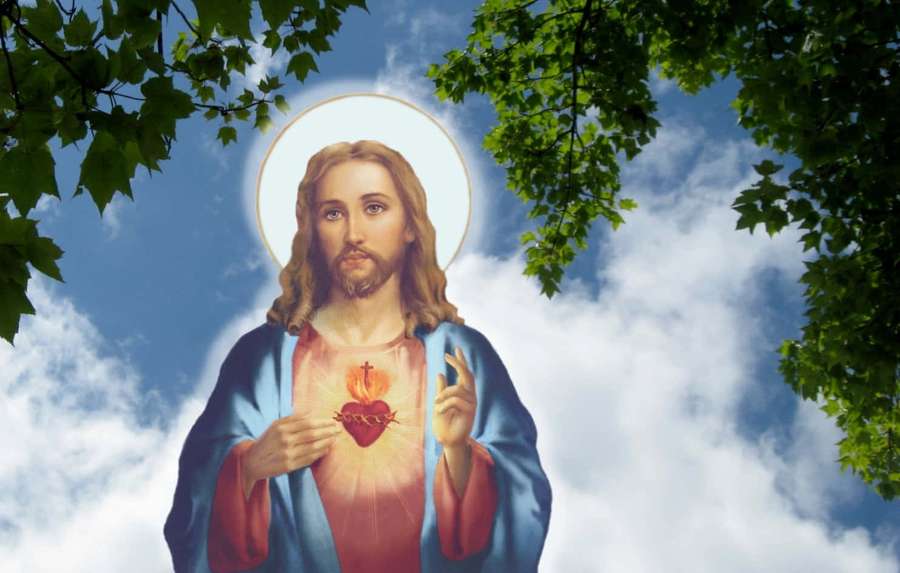 Jesus Christ with halo and sacred heart framed by tree leaves against a blue sky. — Jesus Background