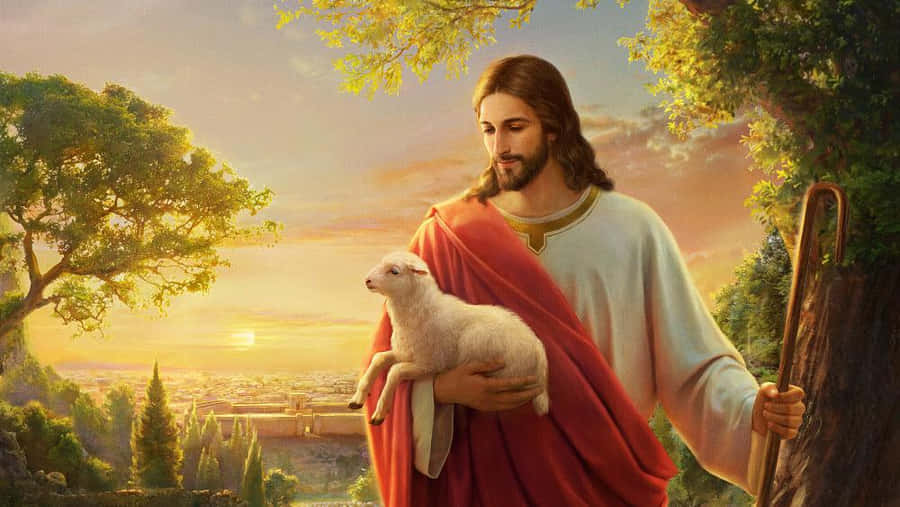 Jesus With Sheep Wallpaper