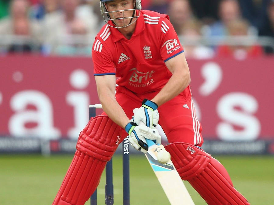 Jos Buttler Wallpaper