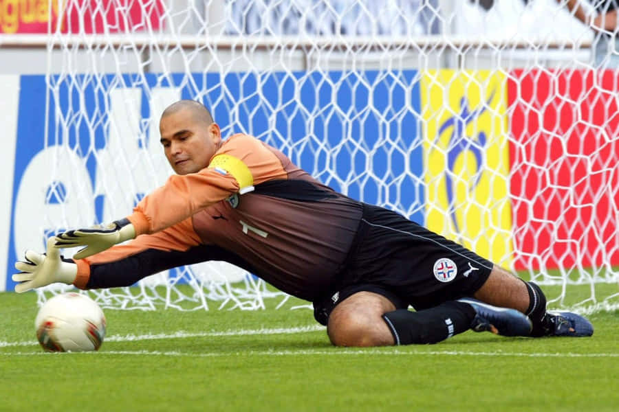 Jose Luis Chilavert Fond d'écran