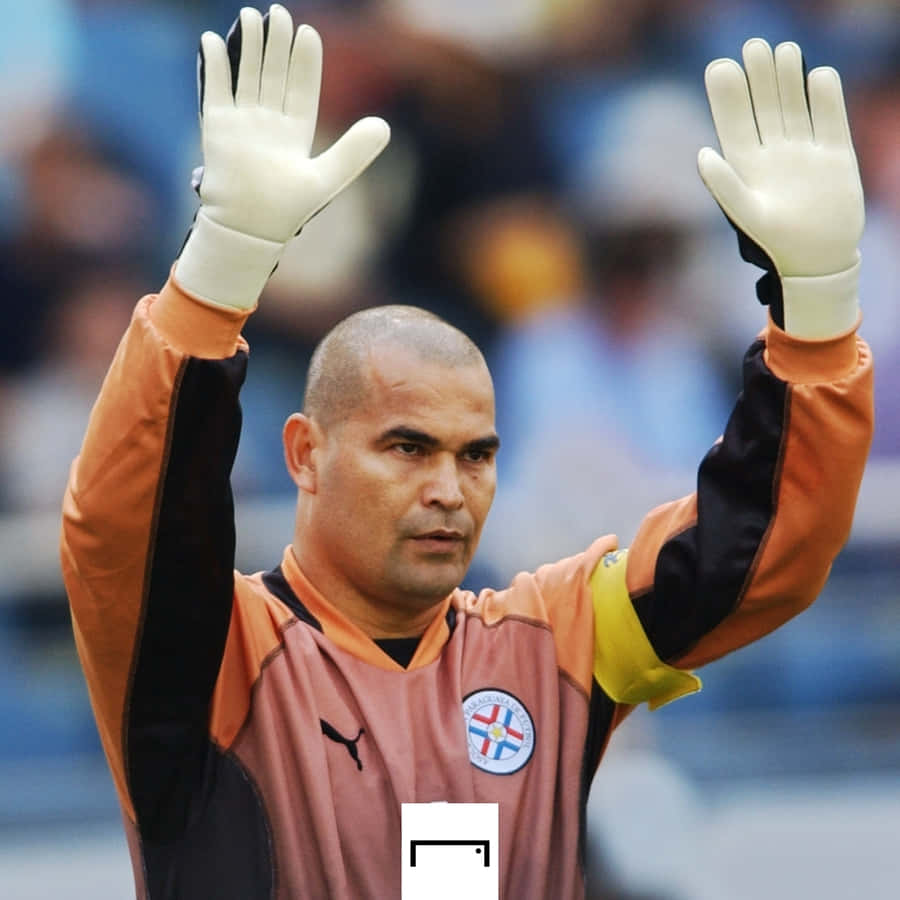 Jose Luis Chilavert Achtergrond