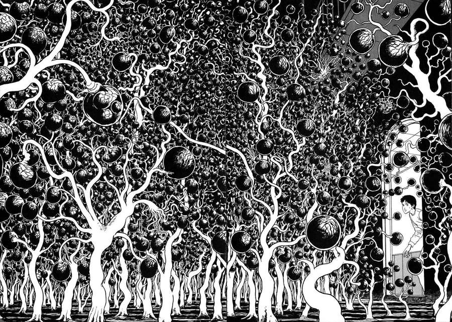 A boy looks through a doorway into a surreal forest of bulbous trees. — Junji Wallpaper