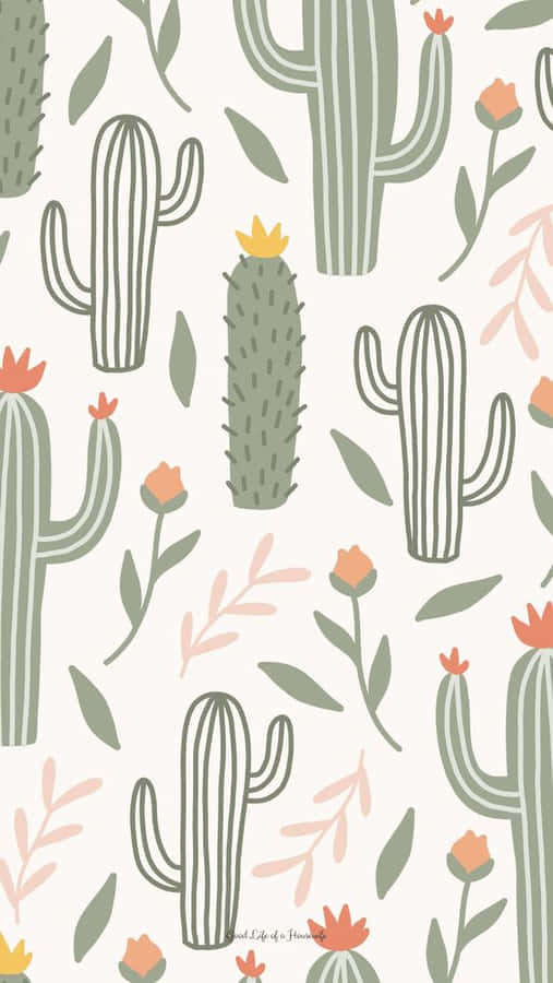Kaktus Iphone Wallpaper