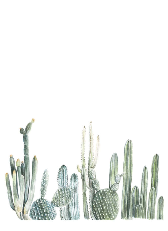 Kaktus Wallpaper