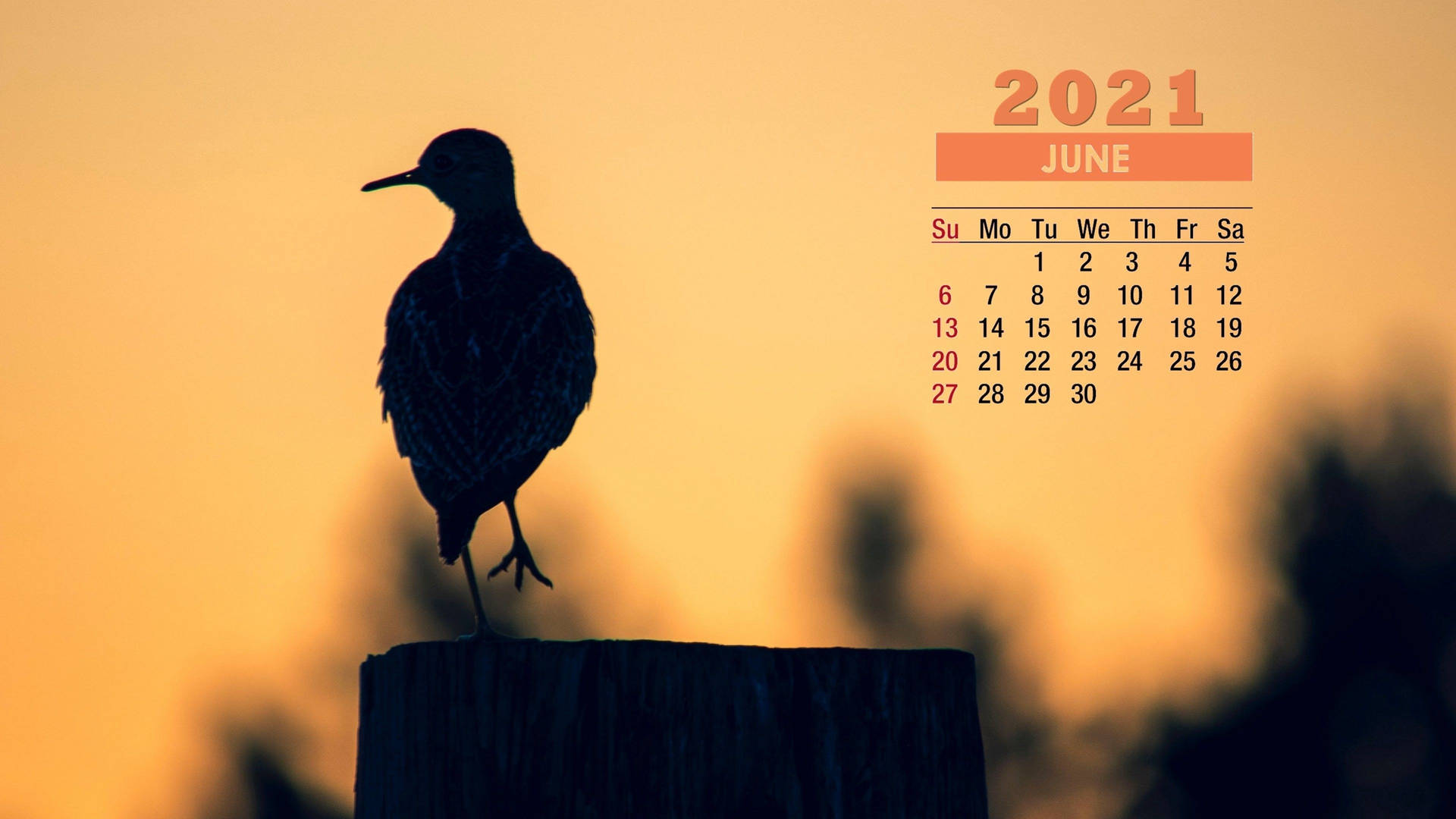 Kalenderhintergrund Für Juni 2021