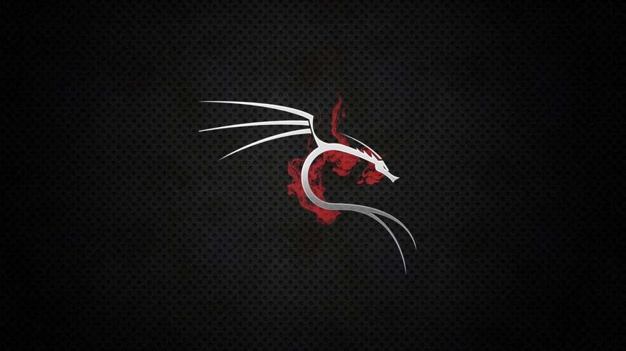 Drago argentato con fiamme rosse su sfondo scuro perforato — Kali Linux Sfondi
