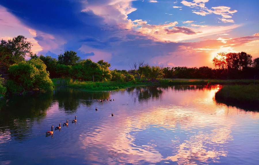 Gansos nadando en un río que refleja un cielo colorido al atardecer. — Kansas Fondos de pantalla