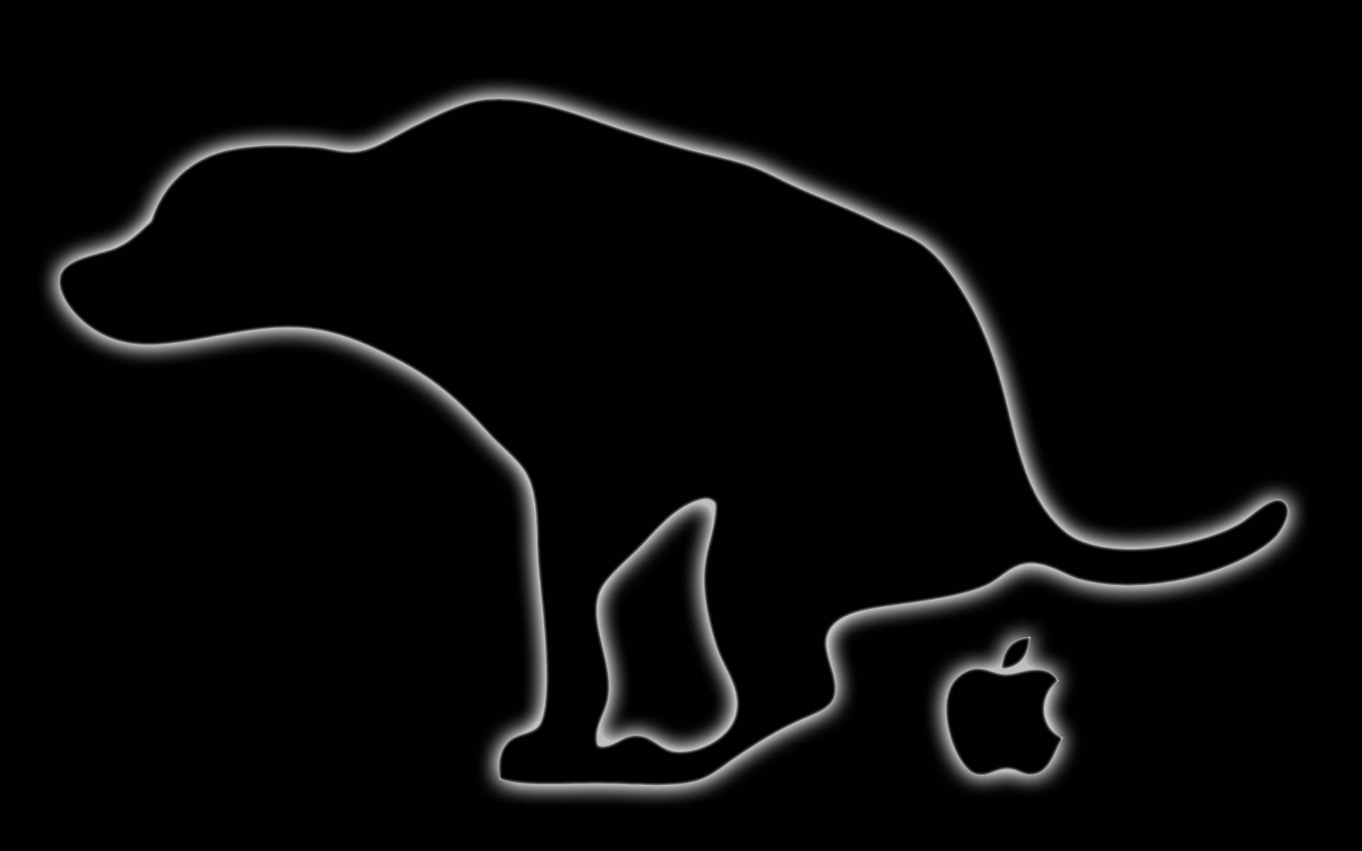 Kat Computer Achtergrond