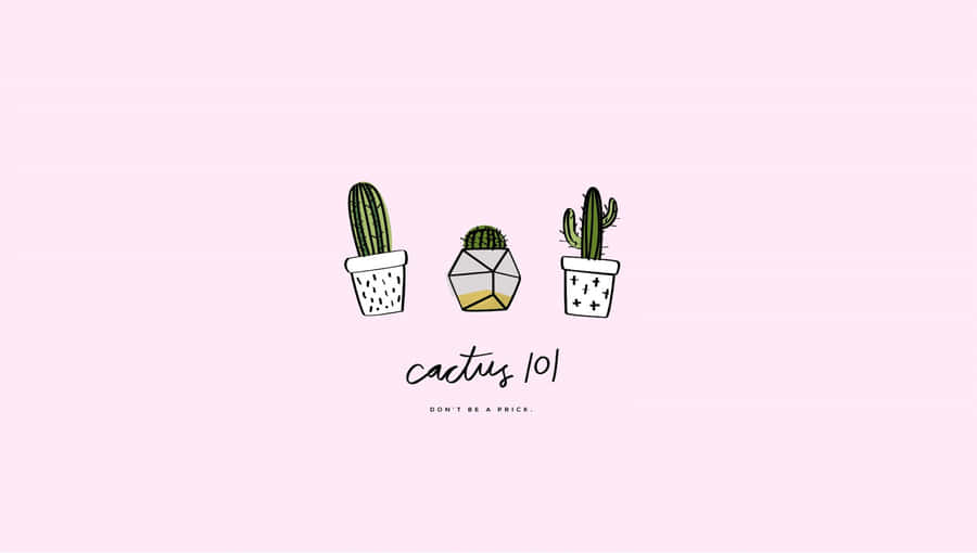 cactus wallpaper tumblr