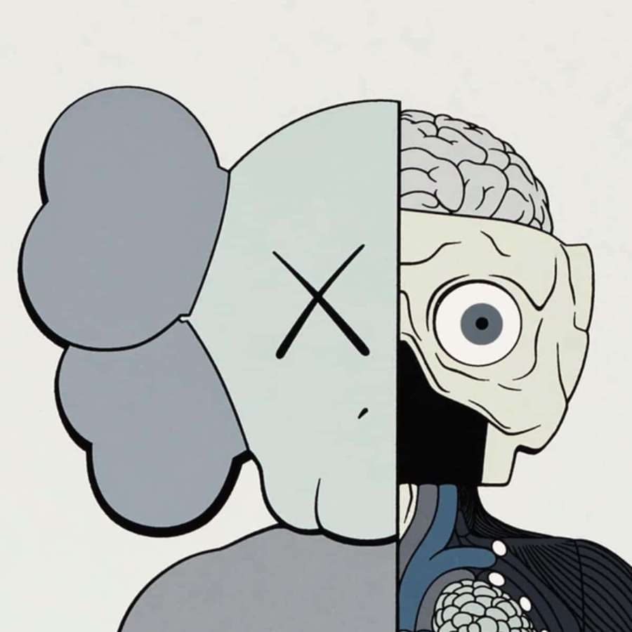 Split-face illustration showing cartoon side with X eyes and anatomical side with brain and eye. — Kaws Dissected Companion Wallpaper