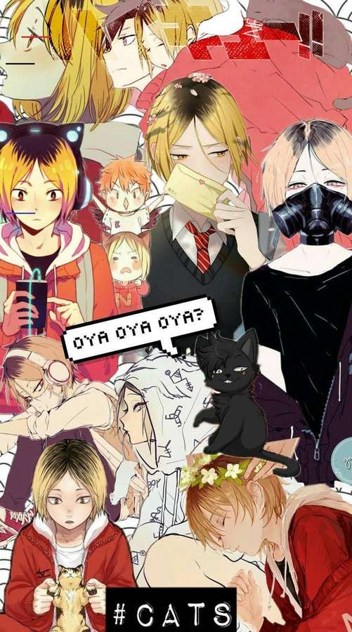Anime-Charaktere und Katzen in einer farbenfrohen Collage mit Text und ausdrucksstarken Gesichtern. — Kenma Hintergrundbild