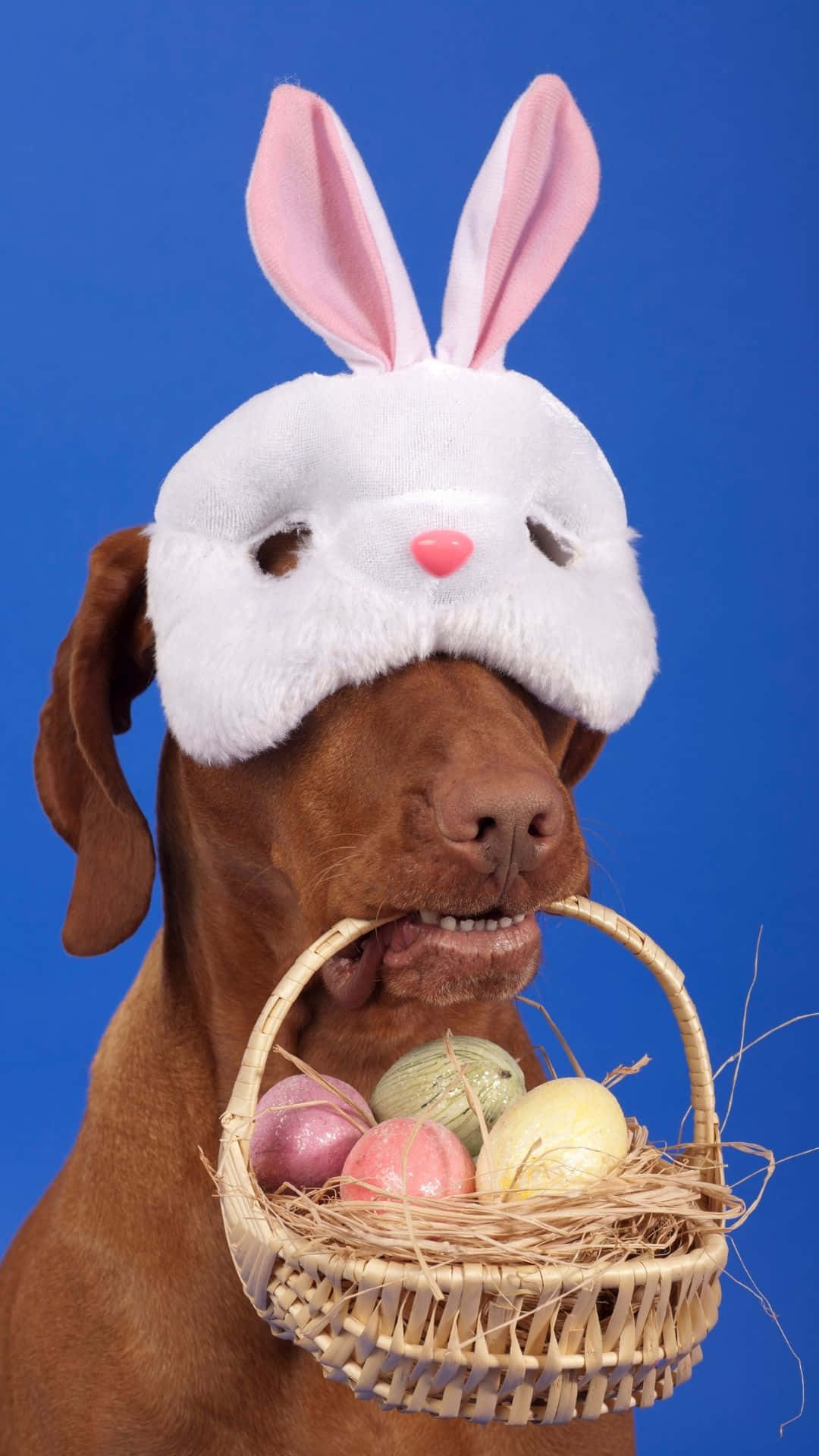 Keranjang Paskah Wallpaper