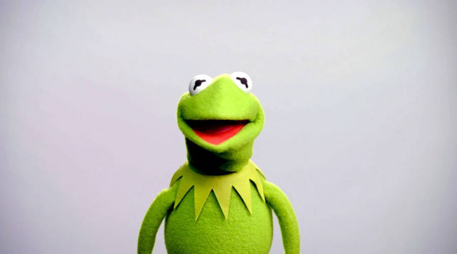 Kermit Der Frosch Wallpaper