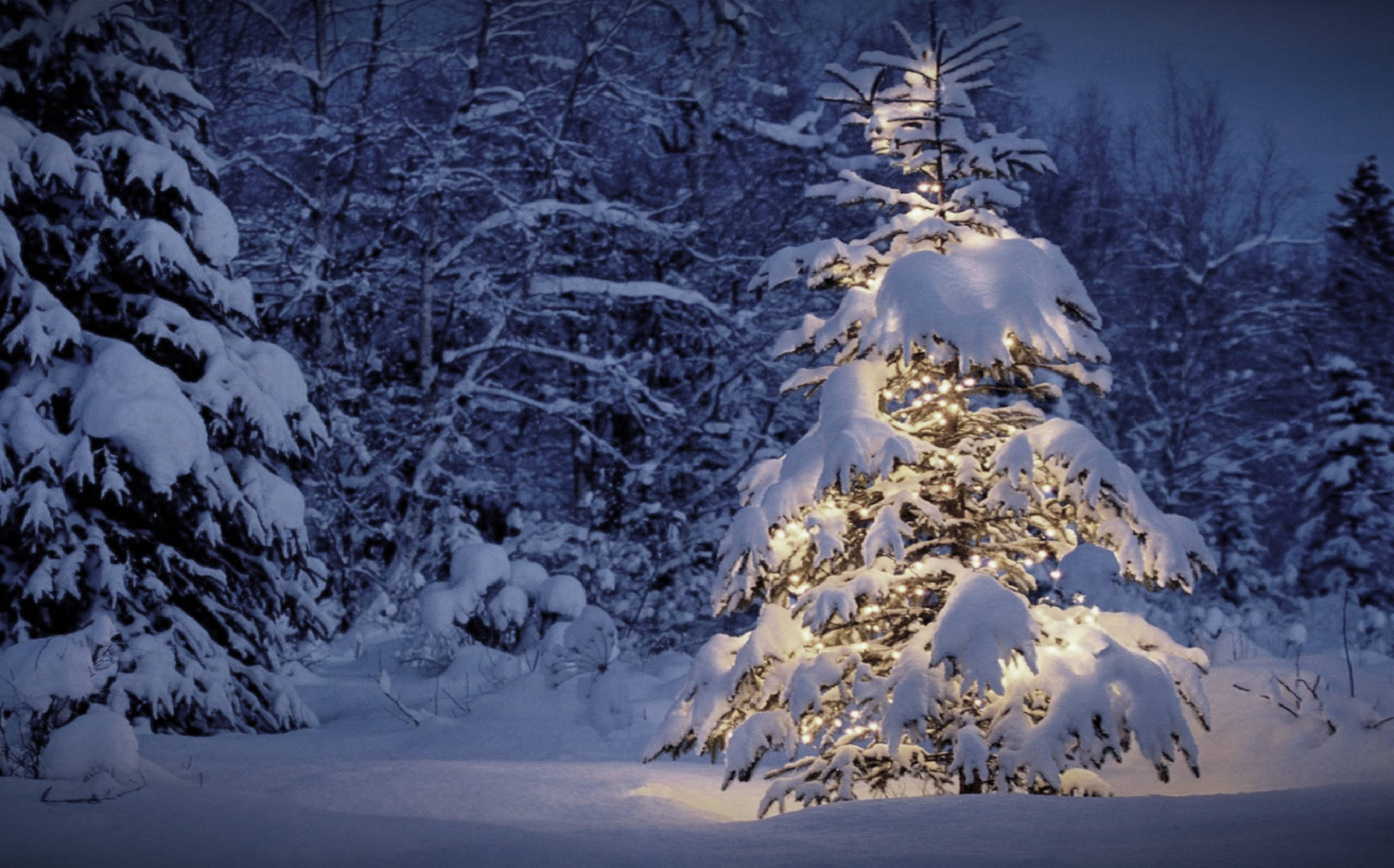 Kerstvakantie Achtergrond