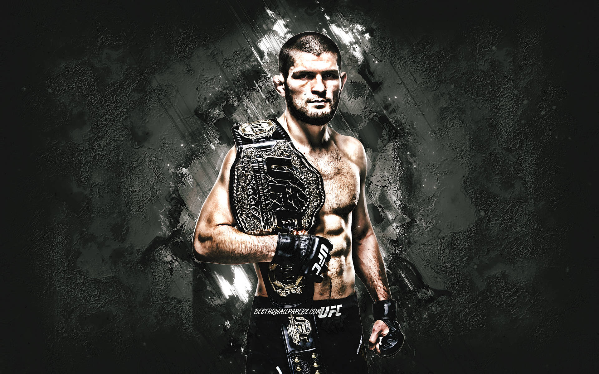Ufc Fight Wallpapers