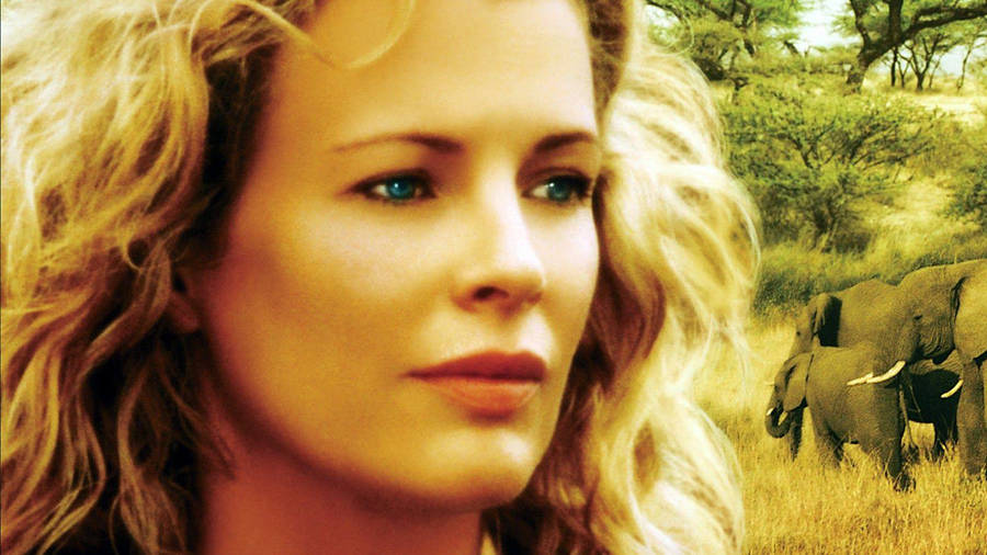 Kim Basinger Achtergrond