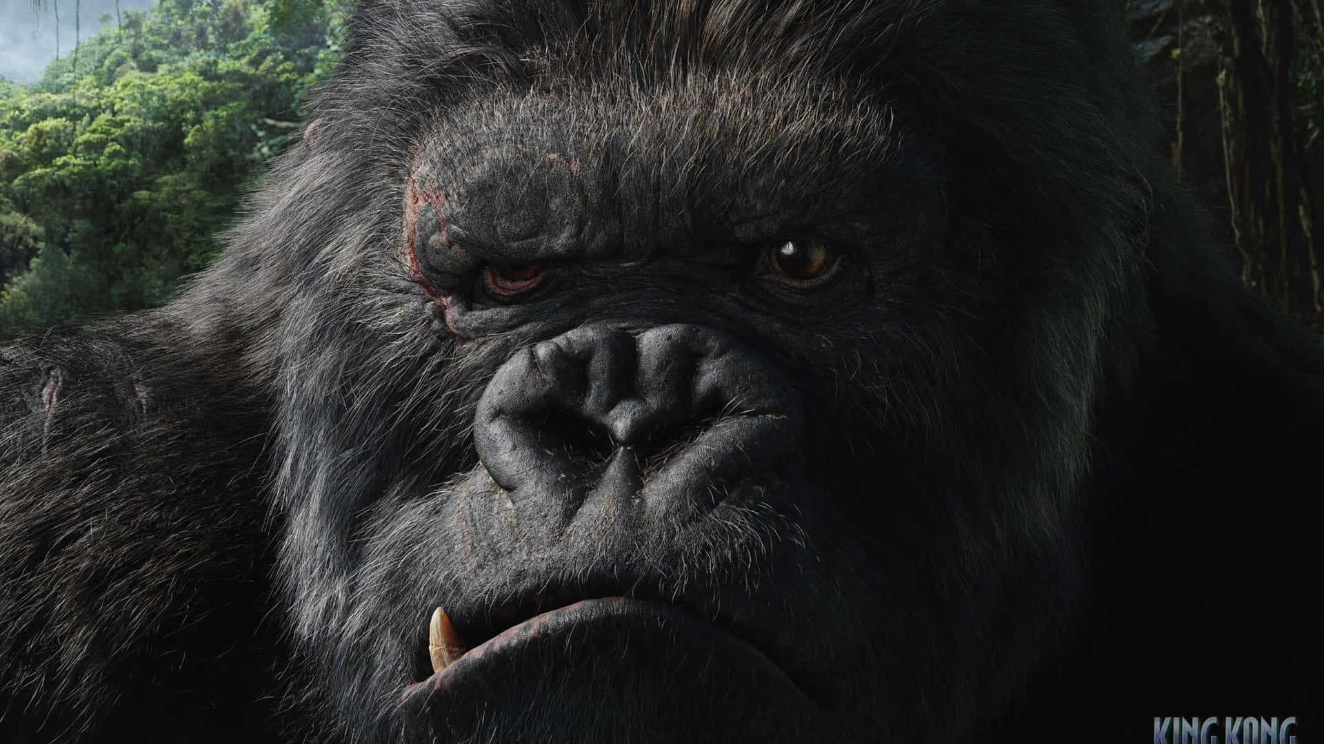 King Kong 4k Papel de Parede