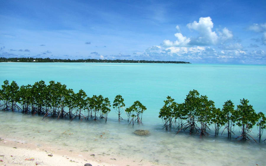 Kiribati Bilder