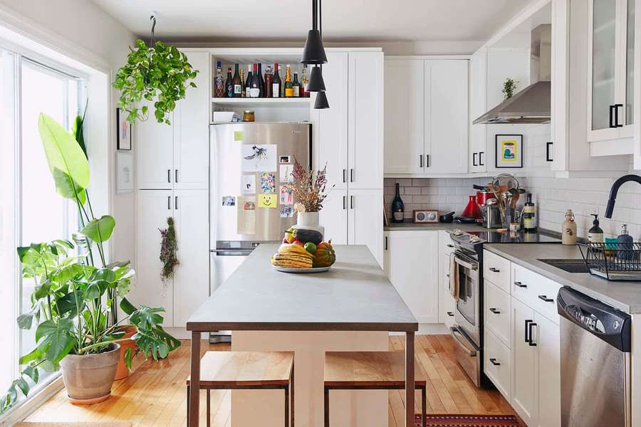 White kitchen with wooden floors and abundant green plants near a window. — Kitchen Picture