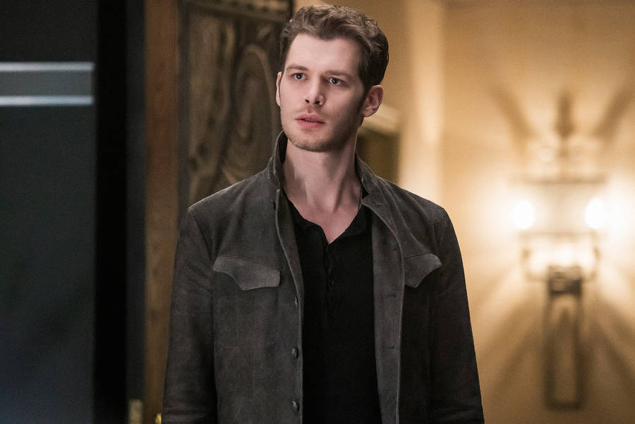 Klaus Mikaelson Hybrid Wallpapers  Top Free Klaus Mikaelson Hybrid  Backgrounds  WallpaperAccess