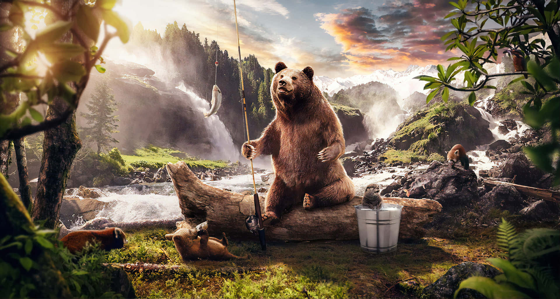Kodiak Bear Bilder