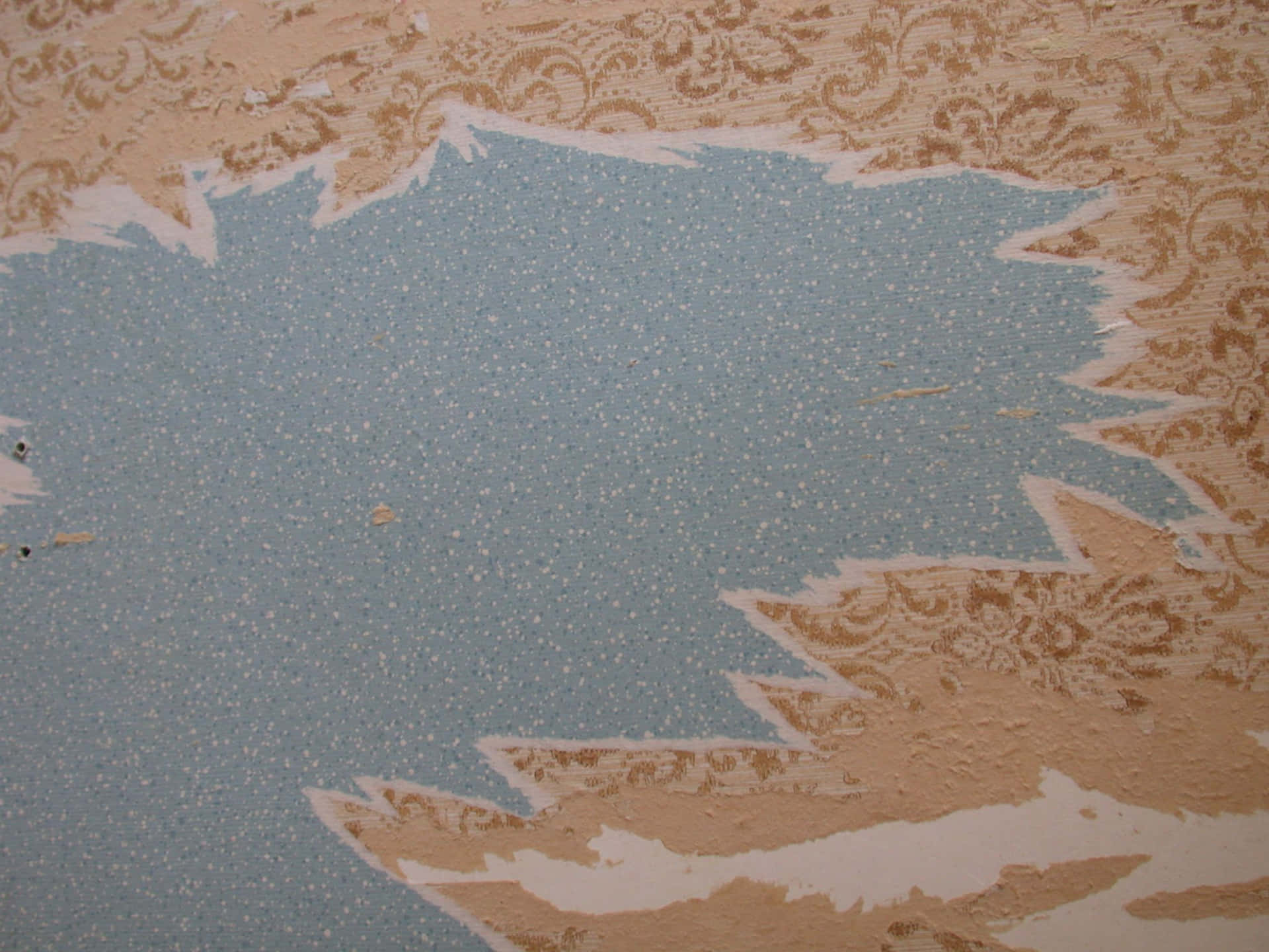 torn wallpaper paper texture