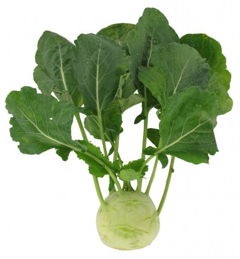 Kohlrabi Fond d'écran