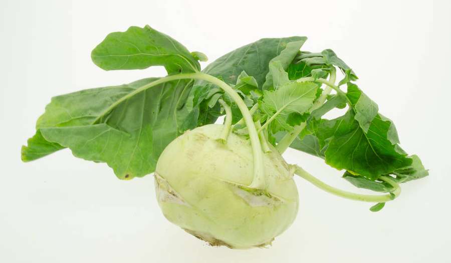 Färsk kålrabbi med gröna blad på vit bakgrund — Kohlrabi Bakgrundsbilder