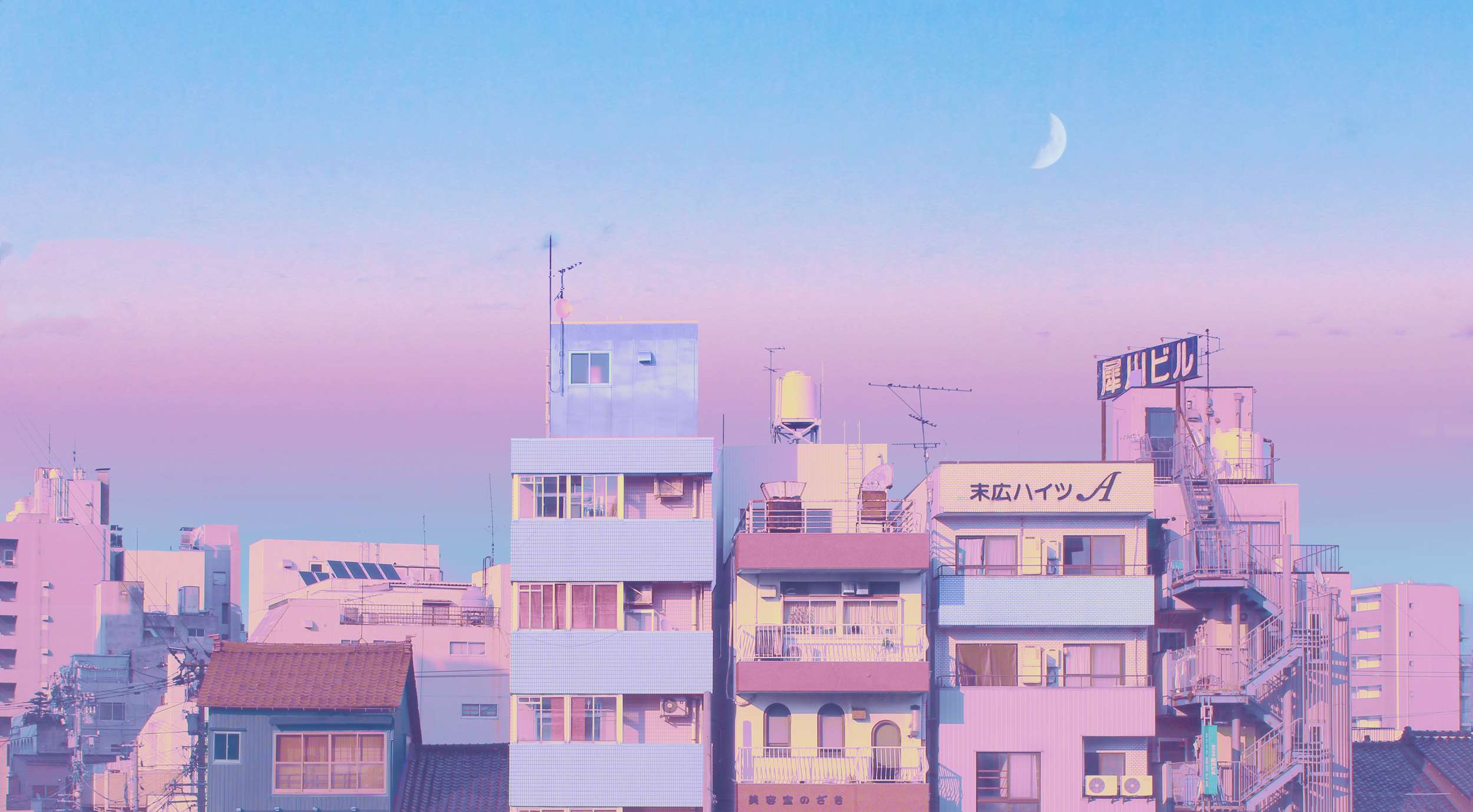 Pink and blue urban skyline with crescent moon and Japanese signs at twilight. — Korean Background