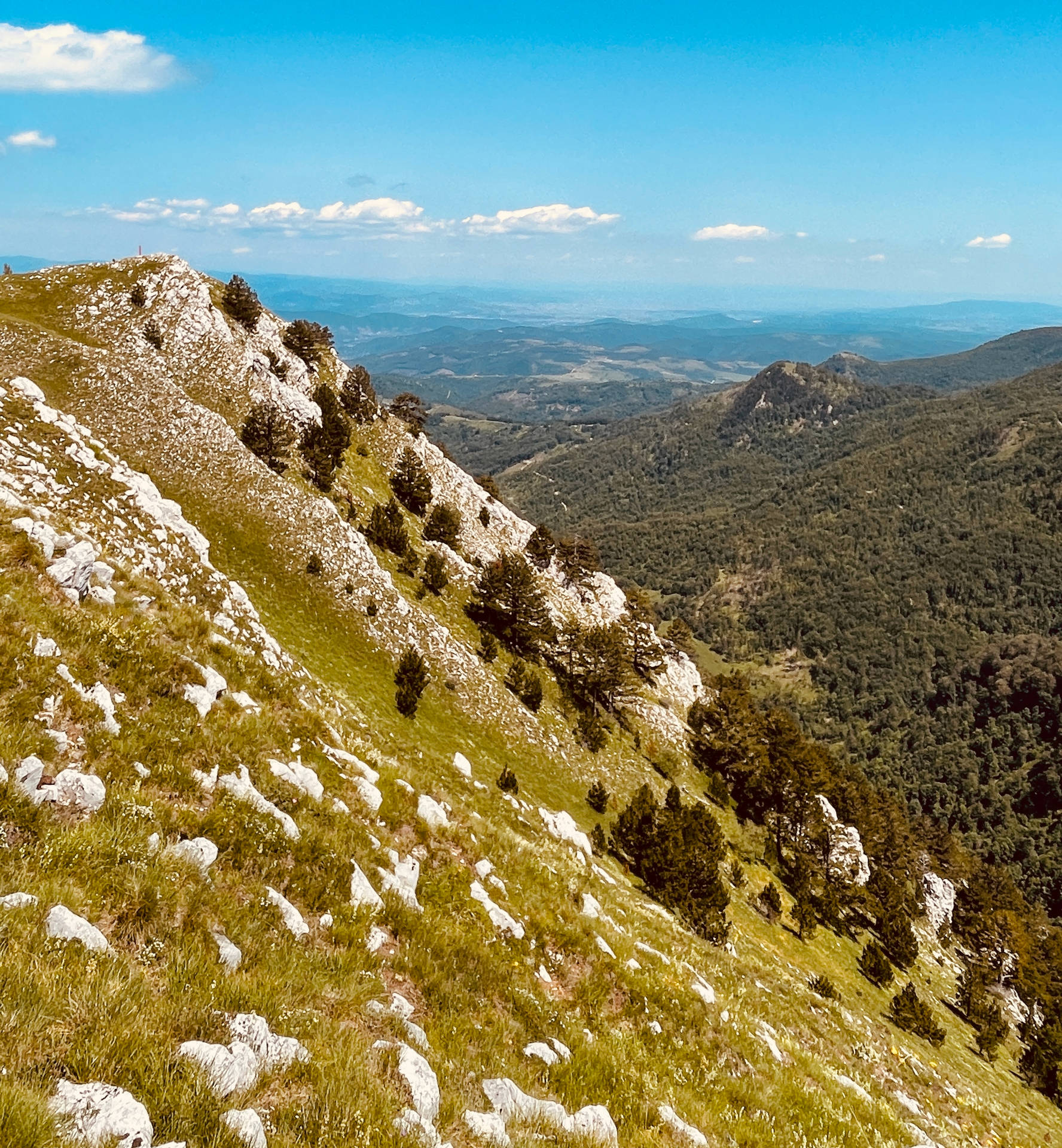 Kosovo Sfondo