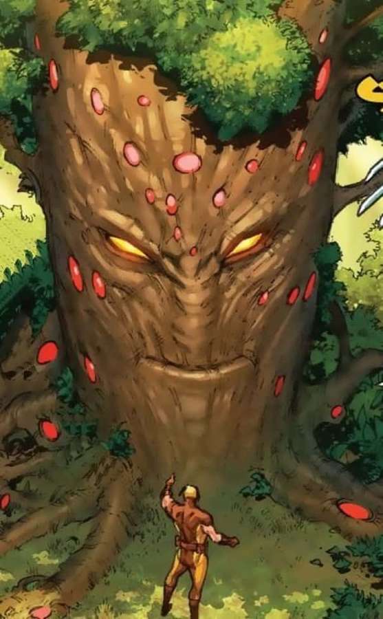 A small hero faces a giant tree with glowing eyes and red spots in a forest. — Krakoa Wallpaper