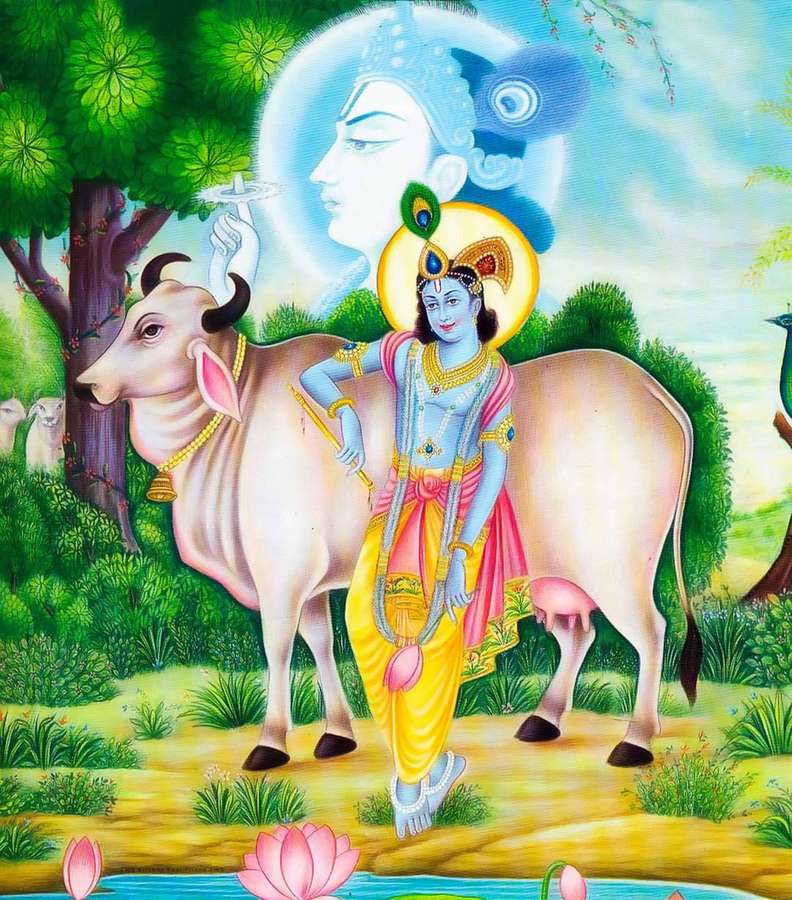 Divine blue-skinned deity walking with sacred cow in lush green forest near lotus pond. — Krishna HD Background