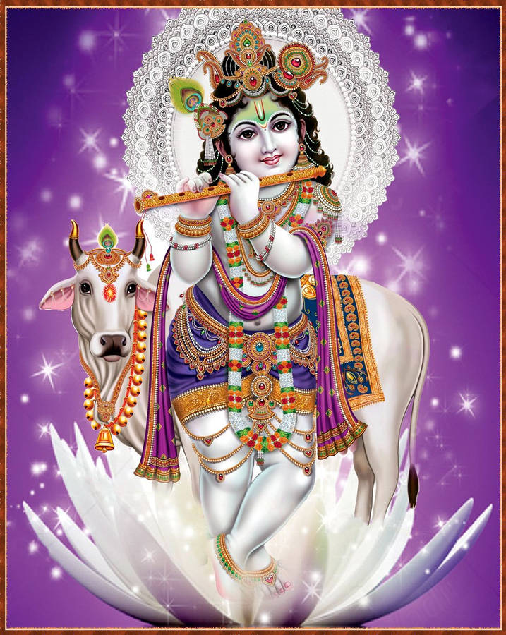 Krishna Iphone Wallpaper
