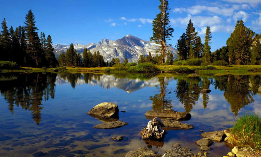 Lac Forestier Fond d'écran