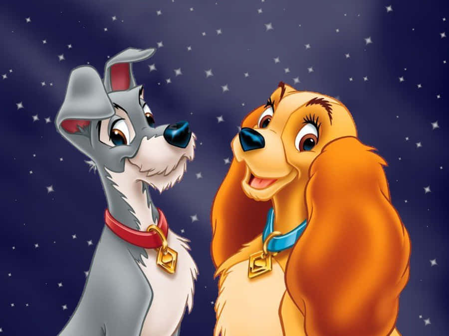 The Lady and The Tramp 1080P 2K 4K 5K HD wallpapers free download   Wallpaper Flare