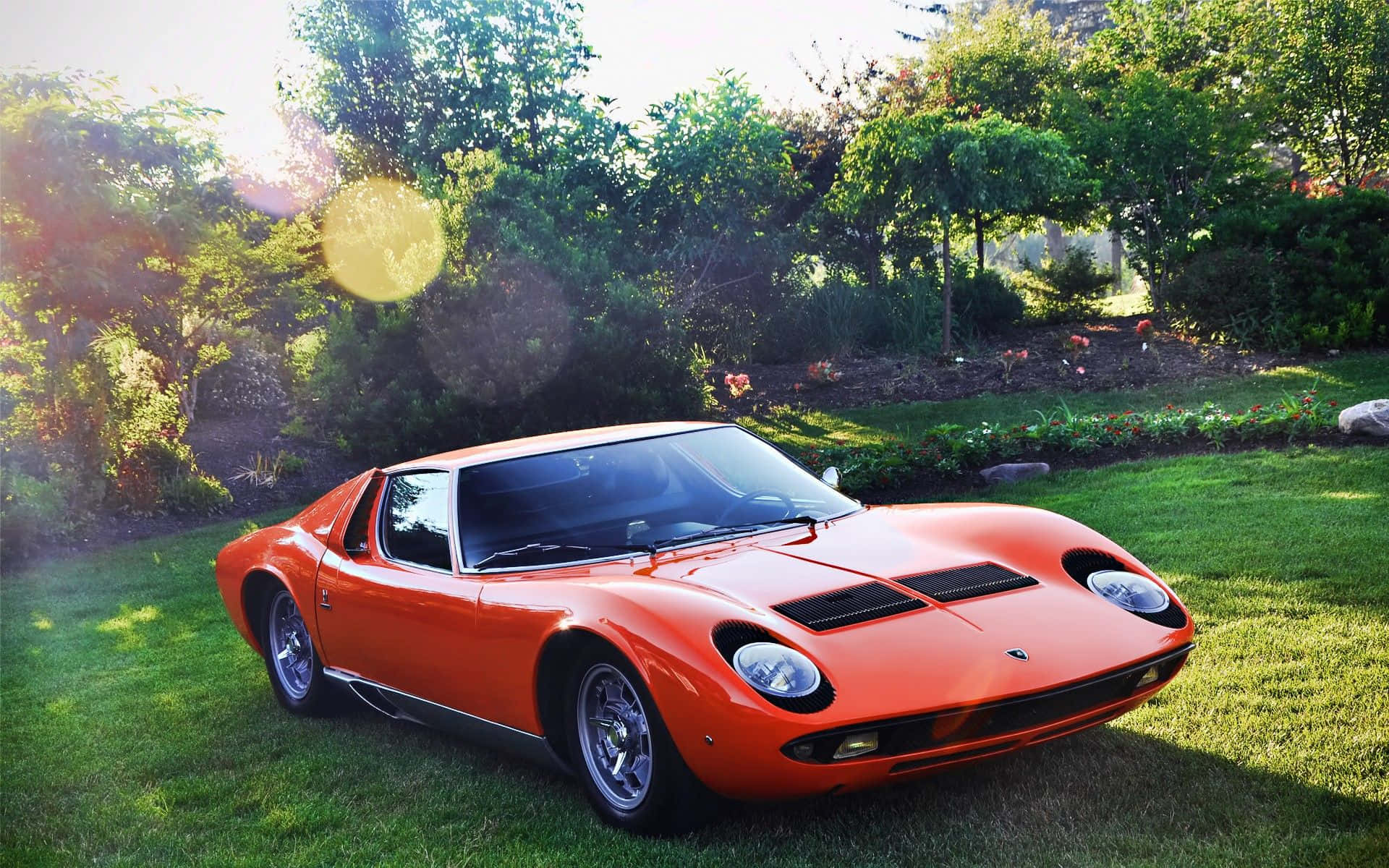 Lamborghini Miura Bakgrunnsbildet