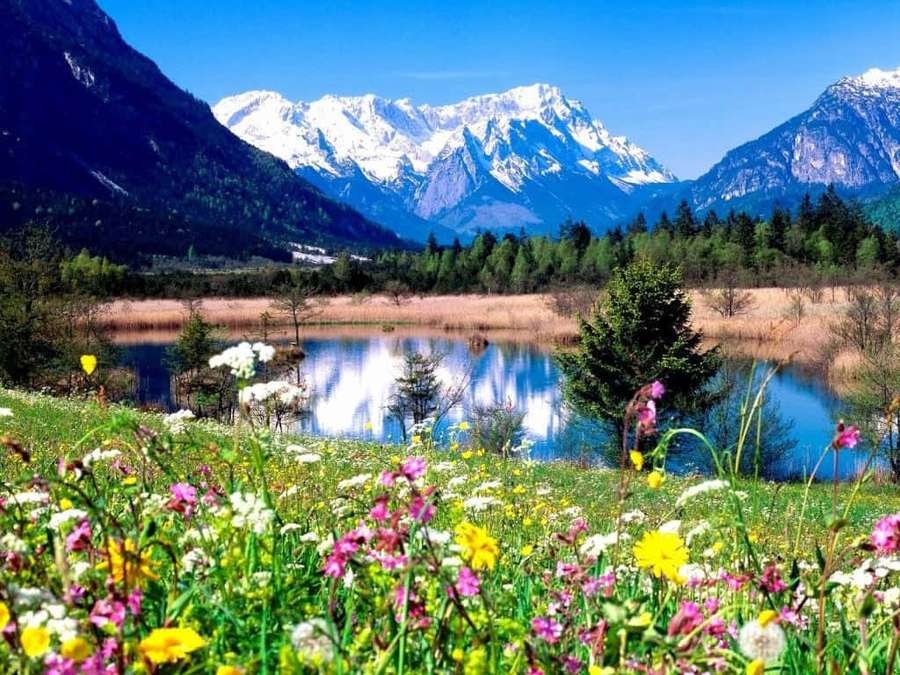 Colorful wildflowers frame a tranquil lake mirroring snow-capped mountains under bright blue sky. — Landscape Picture