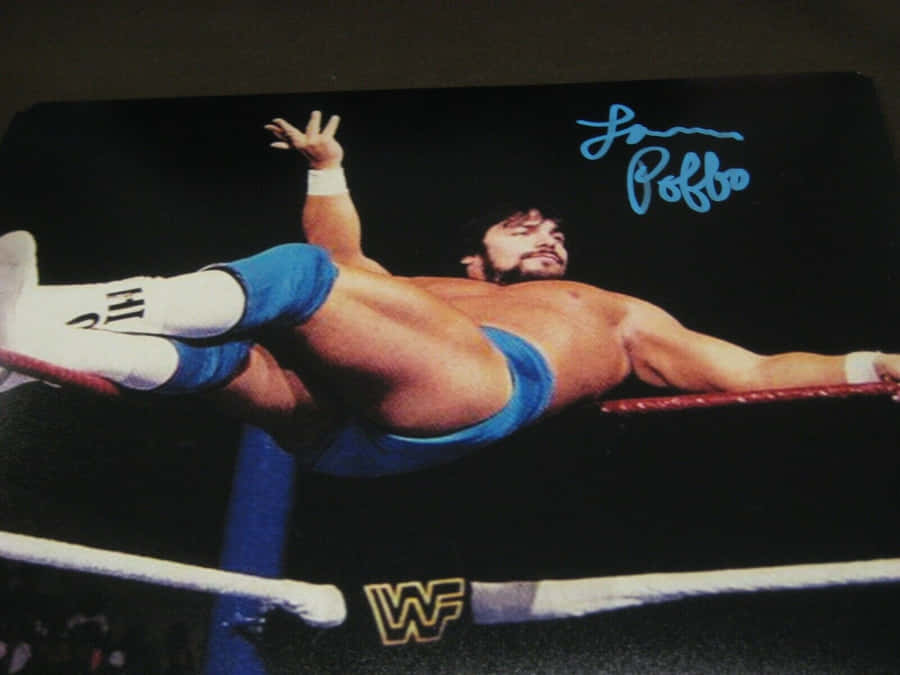 Lanny Poffo Wallpaper