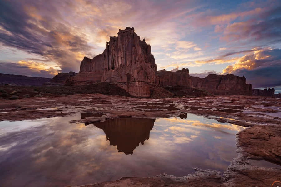 Lanskap Google Wallpaper