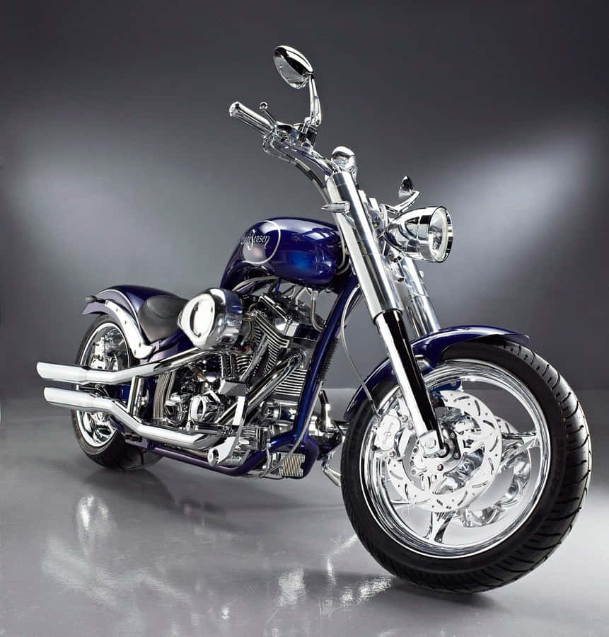 Lauge Jensen Taustakuva