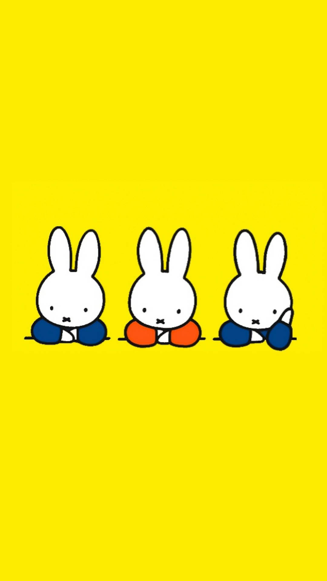 Le Foto Di Miffy